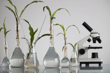 Biotechnolgy kavramı. Laboratuvar deneyleri.