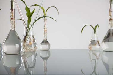 Biotechnolgy kavramı. Laboratuvar deneyleri.