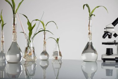 Biotechnolgy kavramı. Laboratuvar deneyleri.