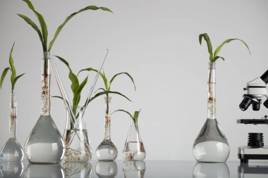 Biotechnolgy kavramı. Laboratuvar deneyleri.