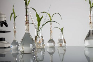 Biotechnolgy kavramı. Laboratuvar deneyleri.