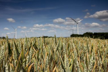 Yenilenebilir enerji Tema.