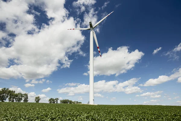 Thema van de hernieuwbare energie. — Stockfoto