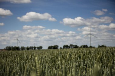 Elektrik enerji alternatif kaynaklar.