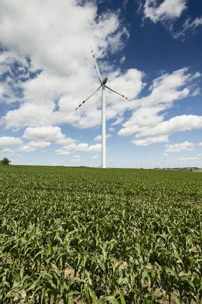 Alternatieve bronnen van elektrische energie. — Stockfoto