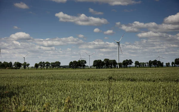 Elektrik enerji alternatif kaynaklar.