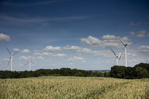 Elektrik enerji alternatif kaynaklar.