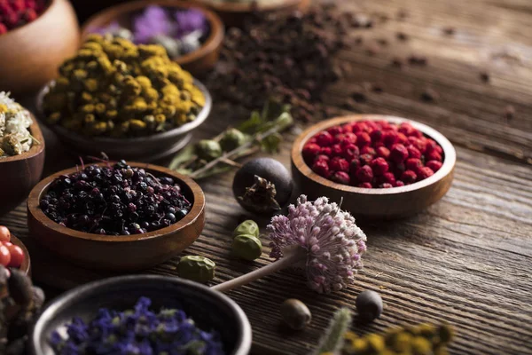 Natürliche oder alternative Medizin. — Stockfoto