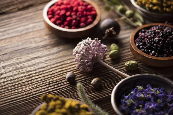 Natürliche oder alternative Medizin. — Stockfoto