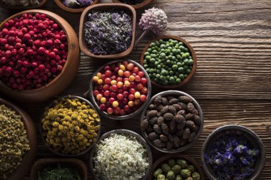 Alternatif Tıp kavramı