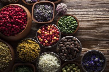 Alternatif Tıp kavramı