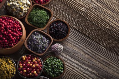 Alternatif Tıp kavramı