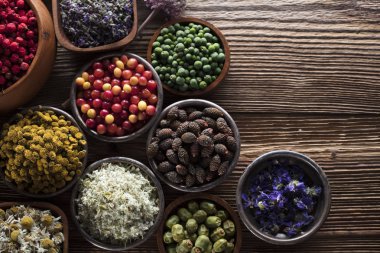 Alternatif Tıp kavramı