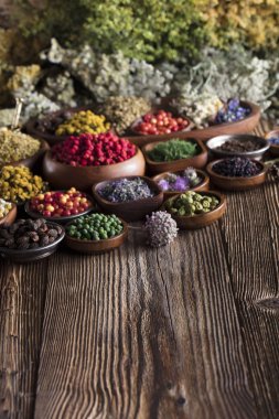 Alternatif Tıp kavramı