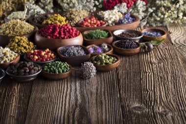 Alternatif Tıp kavramı