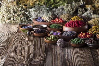 Alternatif Tıp kavramı