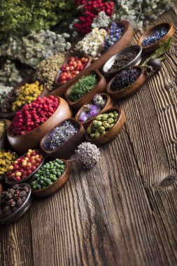 Alternatif Tıp kavramı