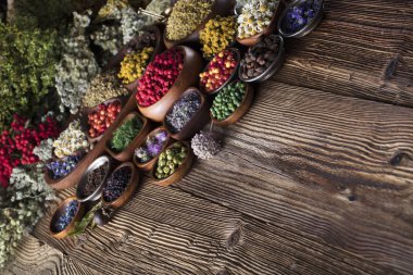 Alternatif Tıp kavramı