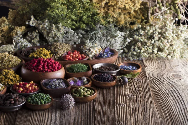 Alternatif Tıp kavramı