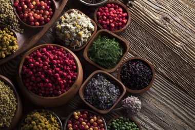 Doğal Tıp kavramı.