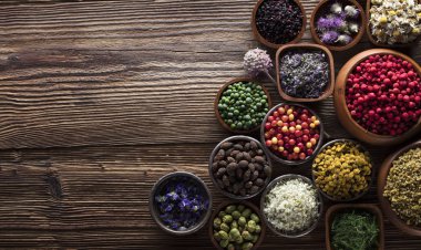 Doğal Tıp kavramı.