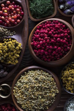 Doğal Tıp kavramı.