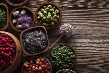 Doğal Tıp kavramı.