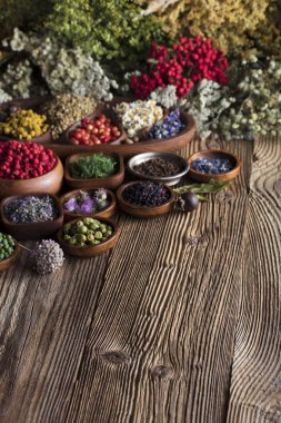 Doğal Tıp kavramı.