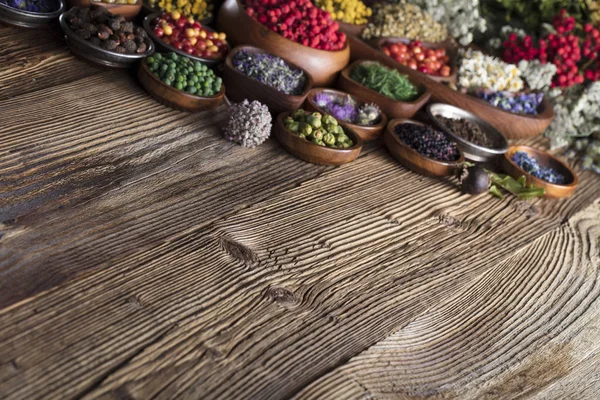 Doğal Tıp kavramı.