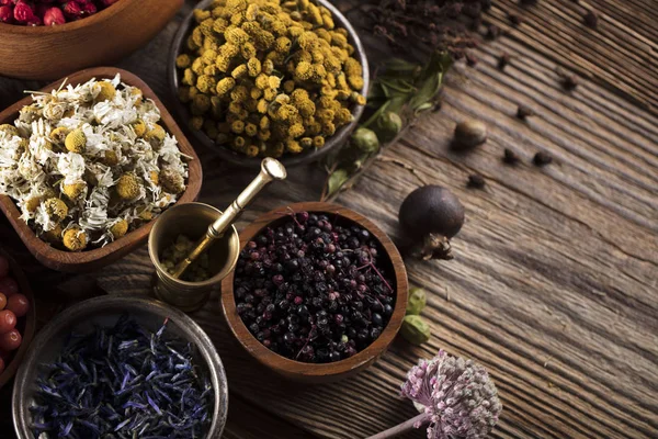 Doğal Tıp kavramı.