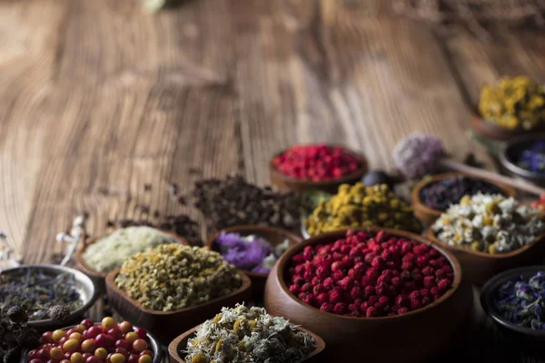 Doğal Tıp kavramı.