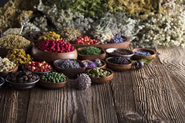 Doğal Tıp kavramı.