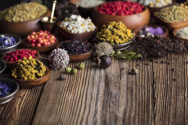 Doğal Tıp kavramı.