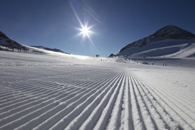 Alp kış sporları.