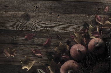 Cadılar Bayramı teması. Arka plan kavramı.