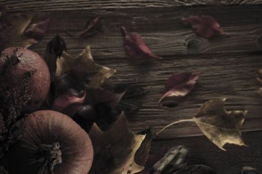 Cadılar Bayramı teması. Arka plan kavramı.