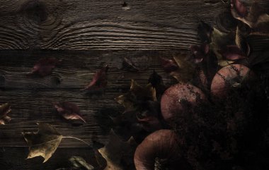 Cadılar Bayramı teması. Arka plan kavramı.