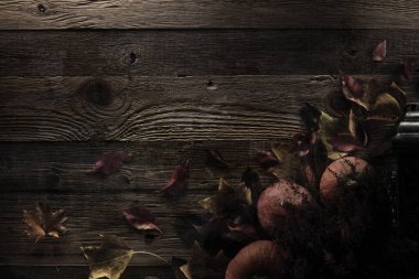 Cadılar Bayramı teması. Arka plan kavramı.