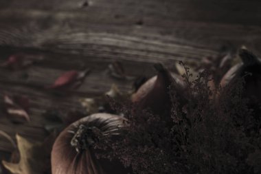 Cadılar Bayramı teması. Arka plan kavramı.