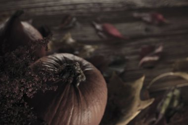 Cadılar Bayramı teması. Arka plan kavramı.