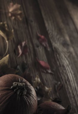 Cadılar Bayramı teması. Arka plan kavramı.