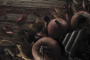 Cadılar Bayramı teması. Arka plan kavramı.