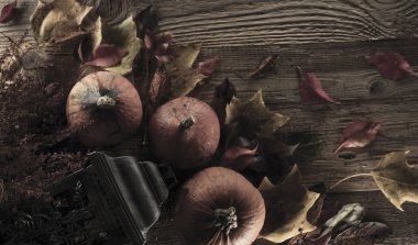 Cadılar Bayramı teması. Arka plan kavramı.