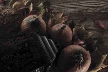 Cadılar Bayramı teması. Arka plan kavramı.