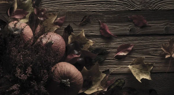 Cadılar Bayramı teması. Arka plan kavramı.