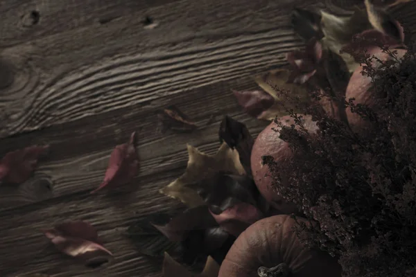 Cadılar Bayramı teması. Arka plan kavramı.