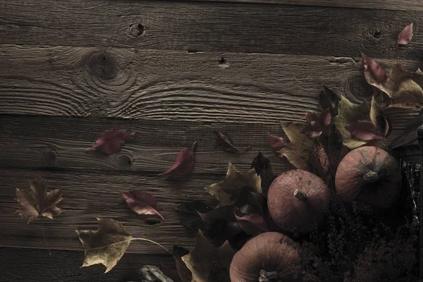 Cadılar Bayramı teması. Arka plan kavramı.