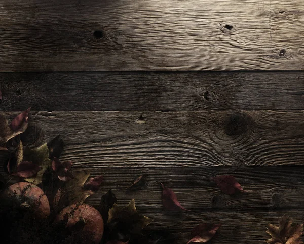 Cadılar Bayramı teması. Arka plan kavramı.