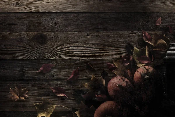 Cadılar Bayramı teması. Arka plan kavramı.