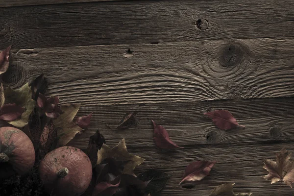 Cadılar Bayramı teması. Arka plan kavramı.